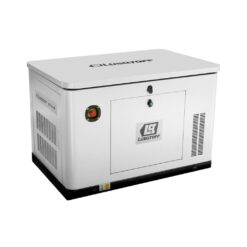 Generador a Gas 12 KW - 15 KVA Residencial con Tablero de Transferencia - Lusqtoff LG12L-9E
