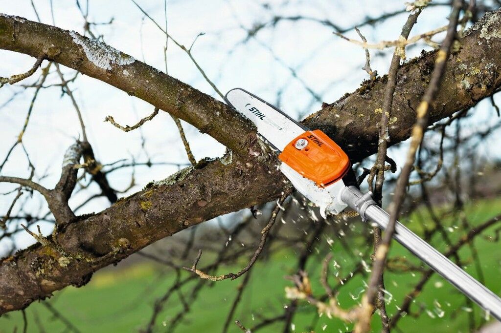 Podadora de altura a explosión - Stihl HT 56 - Imagen 2