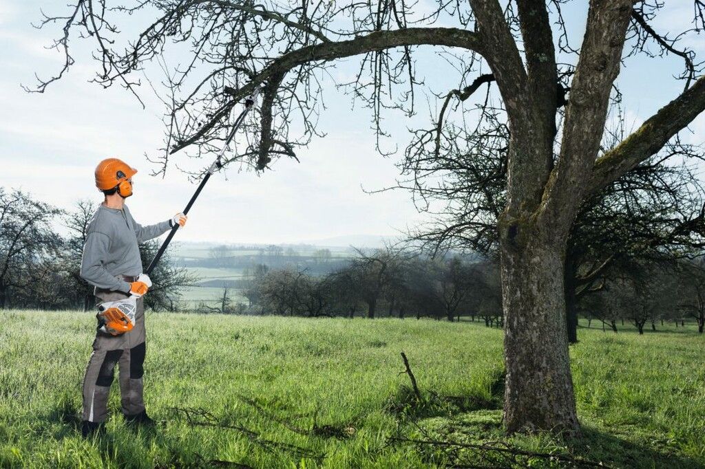 Podadora de altura a explosión - Stihl HT 56 - Imagen 3